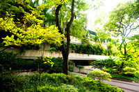 Fort Canning Hotel, forest taking over