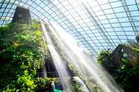 Cloud Forest at Gardens by the Bay