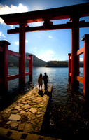 Tori at Lake Ashi. Hakone, Japan