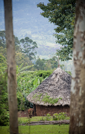 hut, Southern Ethiopia