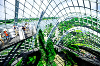 Cloud Forest at Gardens by the Bay