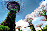 Supertree Grove at Gardens by the Bay