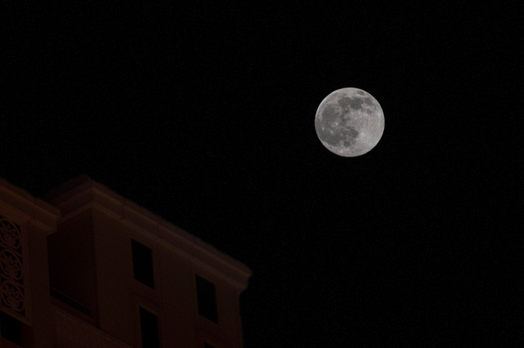 in love with the moon