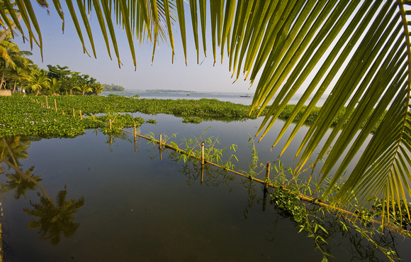 Kerala Backwaters, Southern India