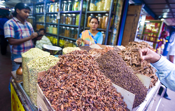 Kochi raw spice shop, India
