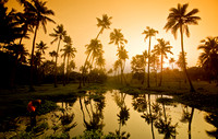 Kerala Backwaters, Southern India