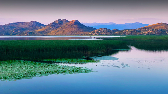 Lake Skadar